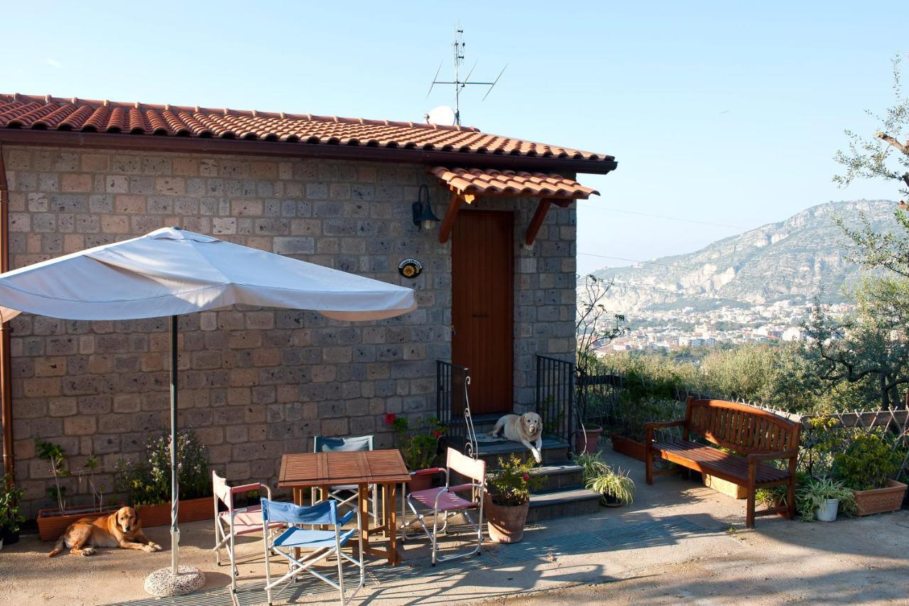 Agriturismo L'Olivara Πιάνο ντι Σορέντο Εξωτερικό φωτογραφία
