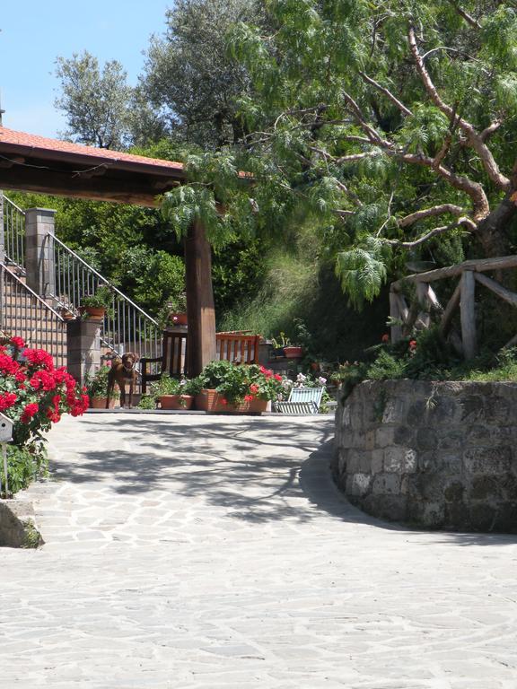 Agriturismo L'Olivara Πιάνο ντι Σορέντο Εξωτερικό φωτογραφία